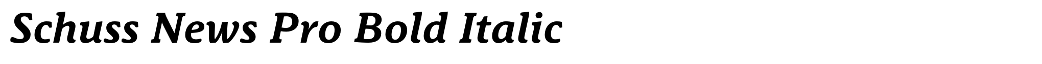 Schuss News Pro Bold Italic image
